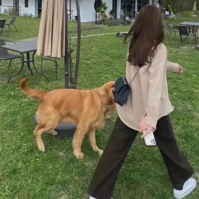 罪证子弹3